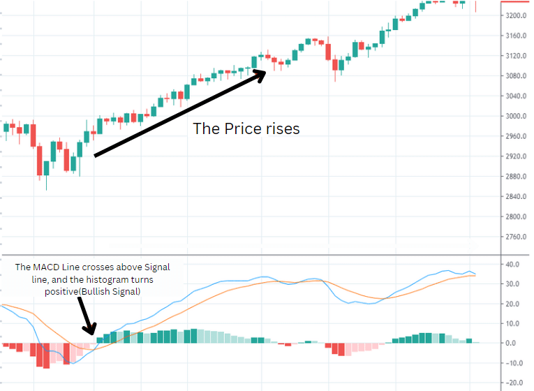 crossover signals in macd