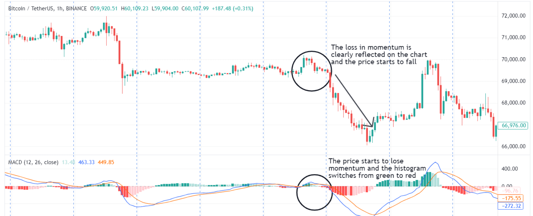 macd bearish momentum on crypto